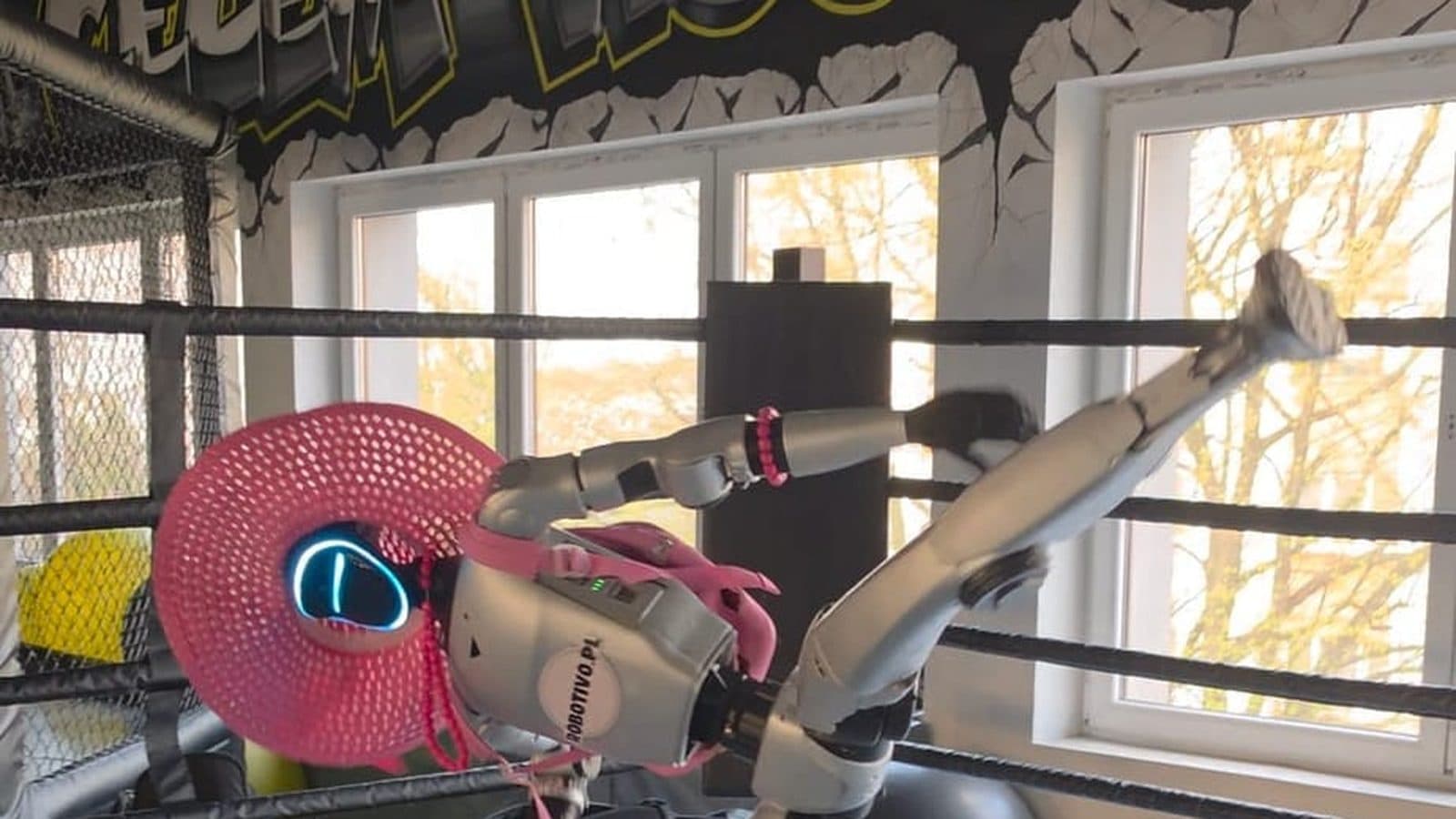 Robot Unitree G1 wykonuje kopnięcie kung fu na ringu