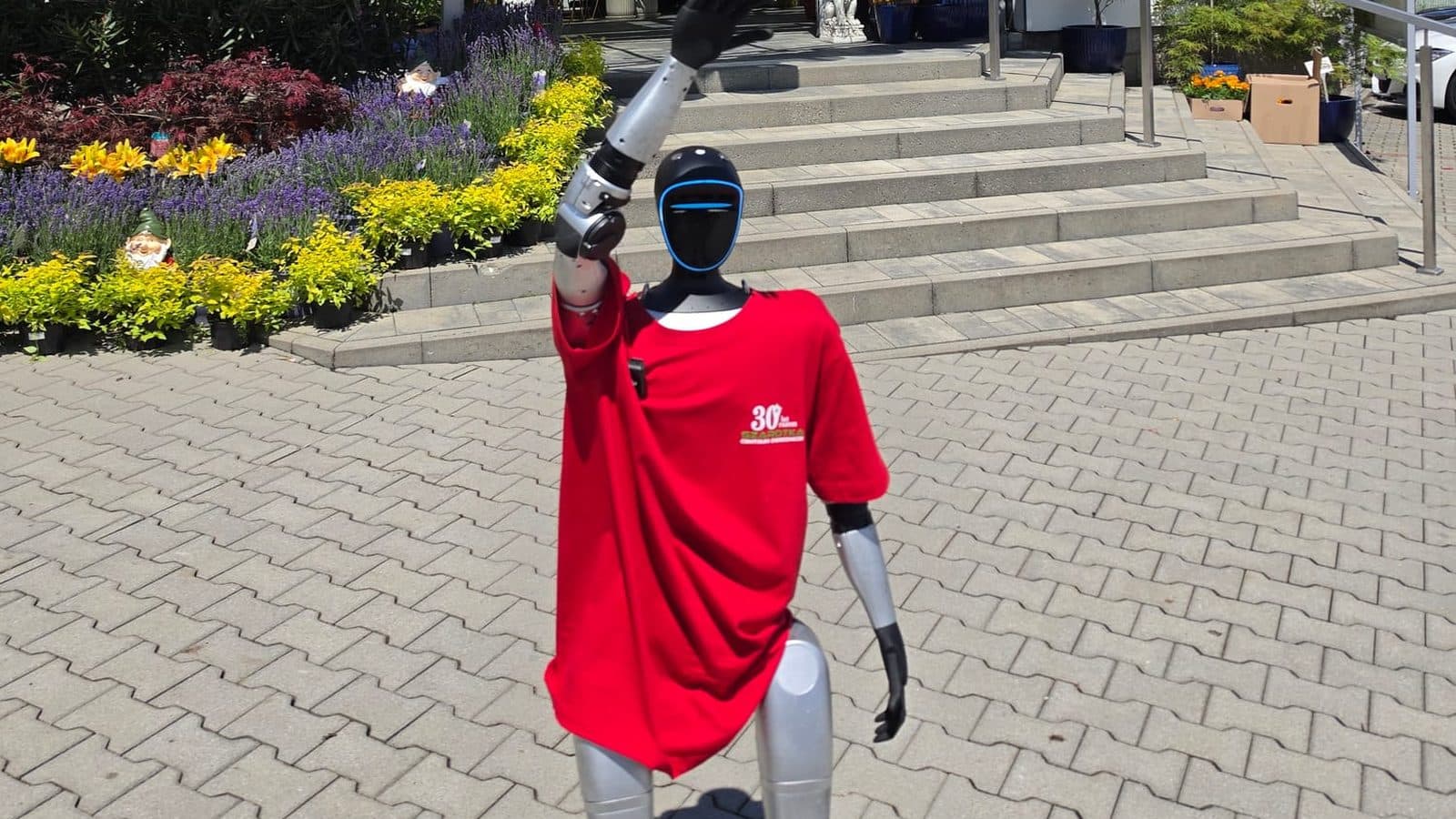 Robot wita gości przed wejściem do Centrum Ogrodniczego Szarotka